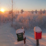 Jeris week 45 12-9502